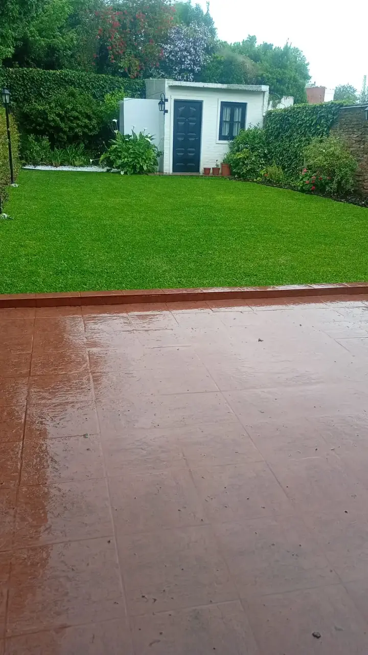 Jardín terminado con césped