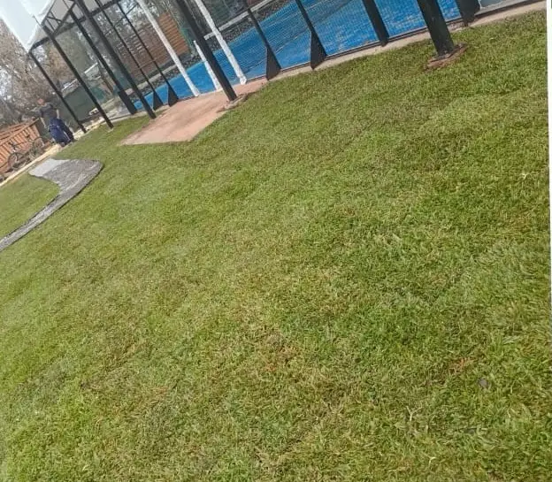 Terreno a césped, después