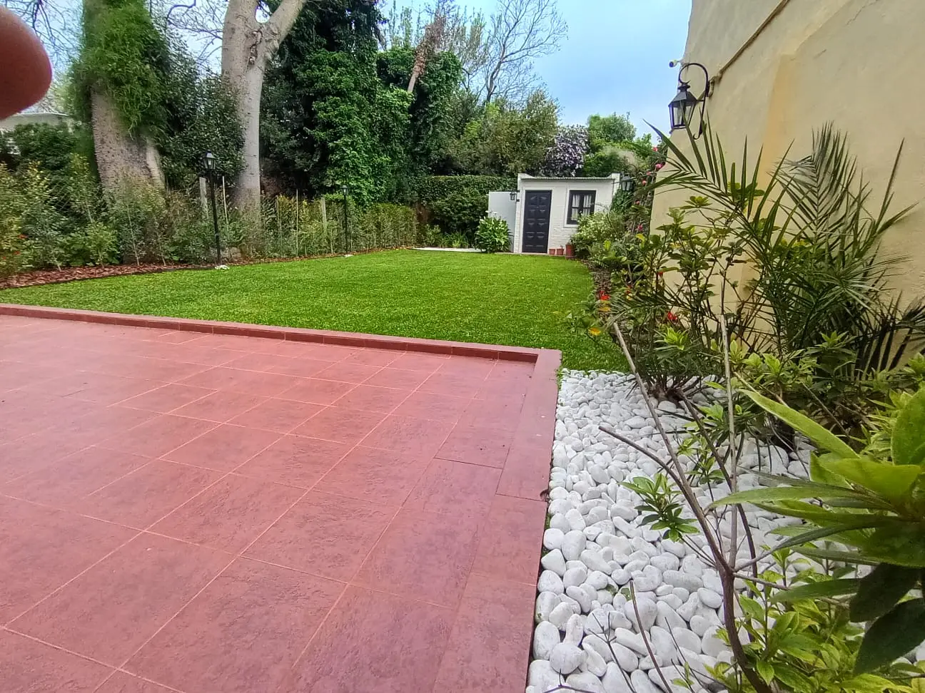 Césped, piedras blancas y plantas